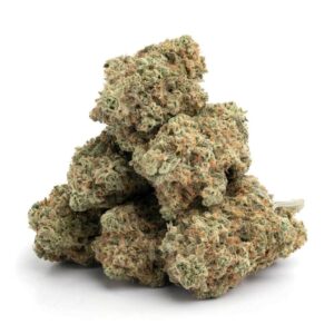 Girl Scout Cookies – Zoete Iconische Strain