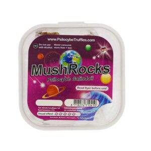 Magic Truffles Galindoi Mushrocks – intense spirituele truffels met visuele diepgang
